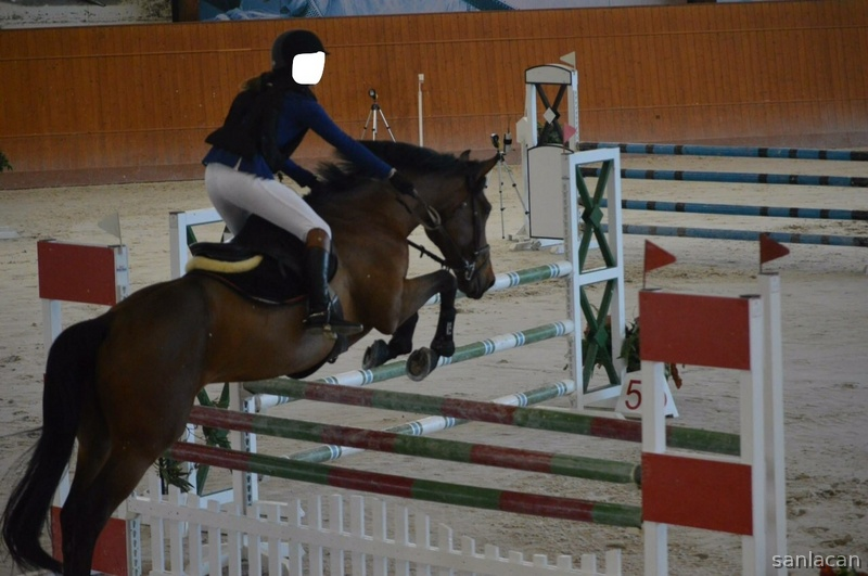 Caballo de Deporte Español (CDE)