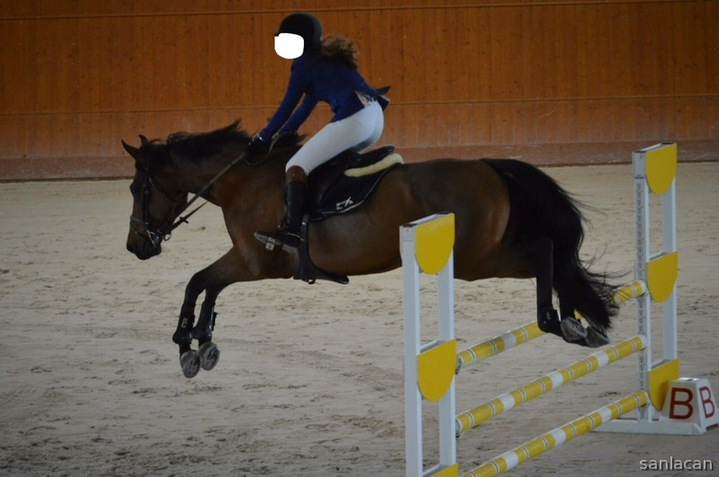 Caballo de Deporte Español (CDE) {TYPE}