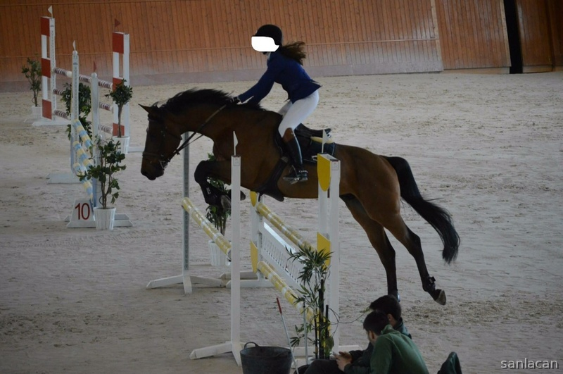 Caballos Capados Caballo de Deporte Español (CDE) - Venta CDE salto Galicia