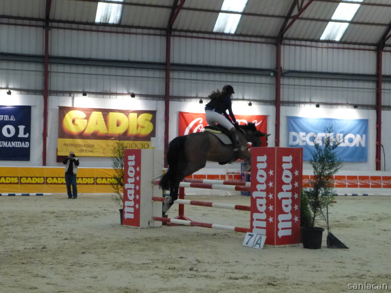 Venta CDE salto Galicia - Caballo de Deporte Español (CDE)