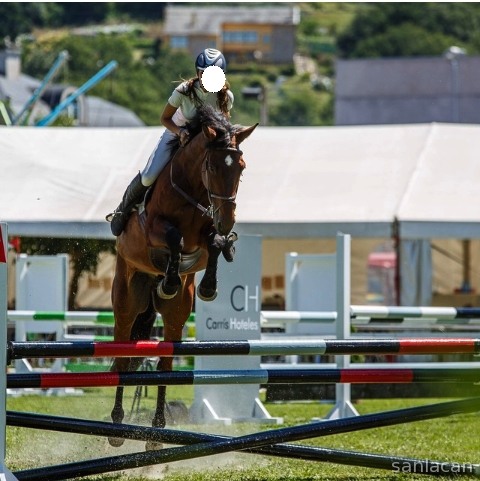 Venta CDE salto Galicia - Caballos Capados