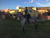 Jaca tordo vinoso, 6 años, 3 sandres, 1.65 cruz. 