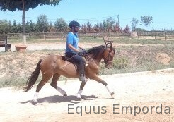 Cruzado {TYPE}
