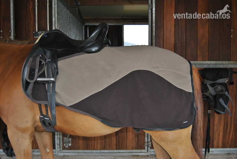 Artículos de hípica - Manta riñonera polar-impermeable para pony