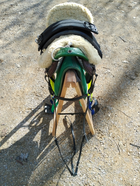Silla Podium 