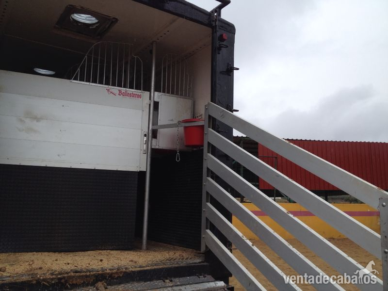  Transportes para caballos