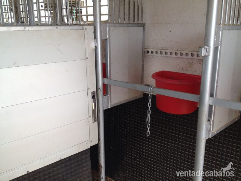 Transportes para caballos - Transportes de caballos