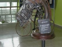 LA CABEZA DEL EQUINO