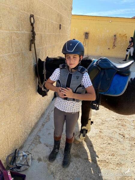 Venta de Poni salto - Ponis Pony Club