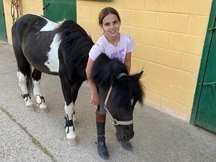 Venta de Poni salto