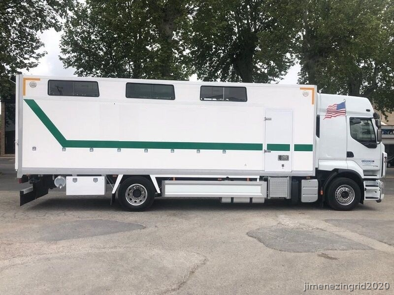 FURGONETA PARA CABALLOS  RENAULT PREMIUM 370.18 DXI in 