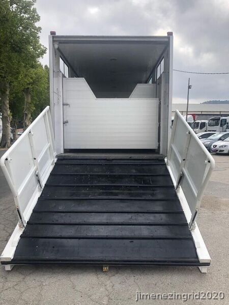 FURGONETA PARA CABALLOS  RENAULT PREMIUM 370.18 DXI - Transportes de caballos