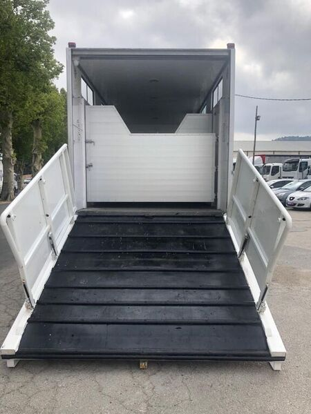 FURGONETA PARA CABALLOS  RENAULT PREMIUM 370.18 DXI - Transportes de caballos