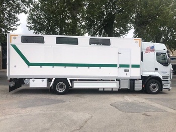 FURGONETA PARA CABALLOS  RENAULT PREMIUM 370.18 DXI