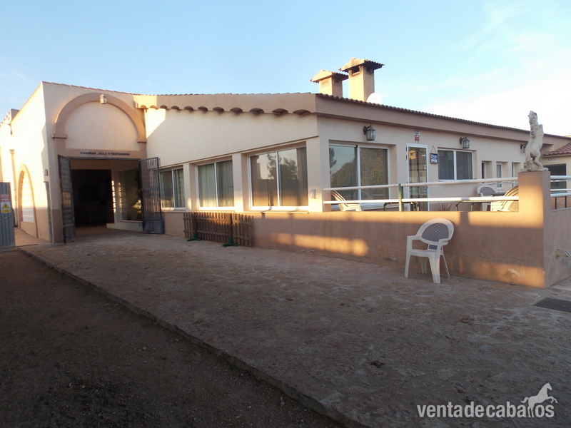 POR JUBILACION SE VENDE HIPICA in VINAROS
