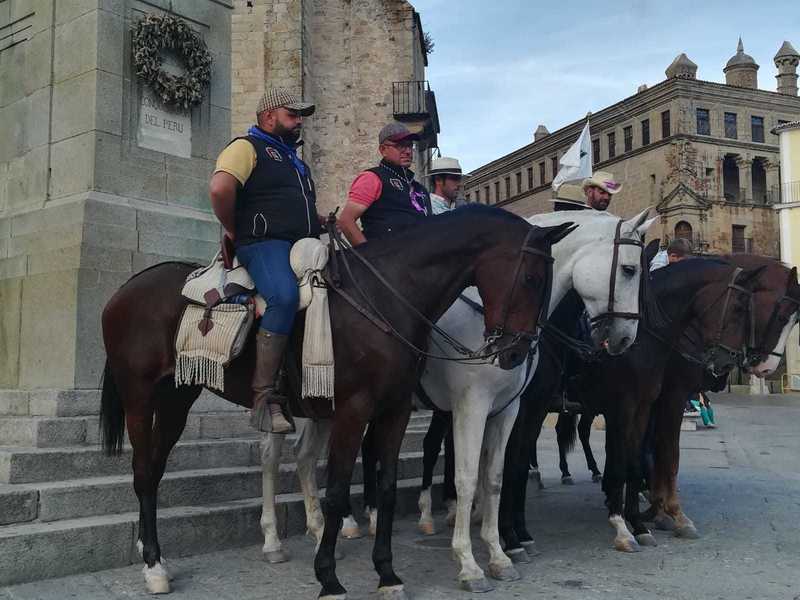 Caballos Capados Anglo-árabe - Se vende caballo angloarabe 
