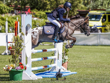 Se vende o alquila Pony B de Salto de competición