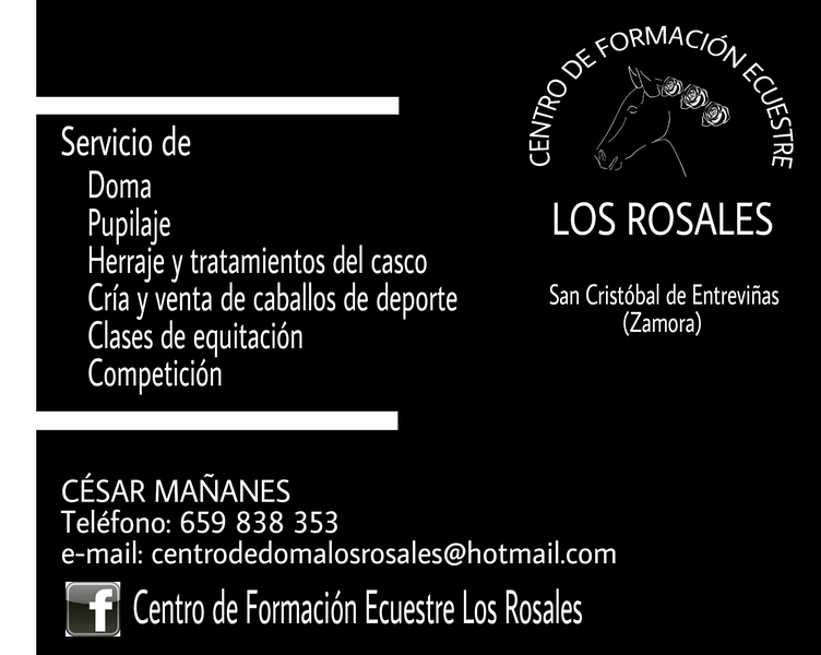 Caballos Doma Clásica y Salto - Caballos Enteros