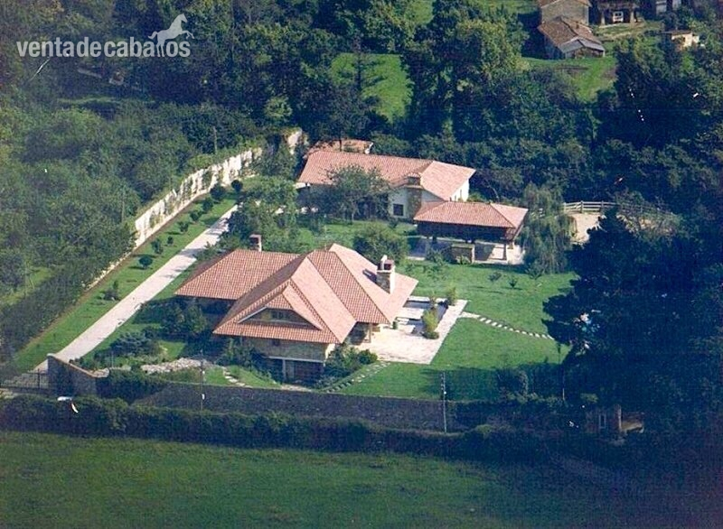 Finca ecuestre privada, chalet de lujo y piscina. in Gijón