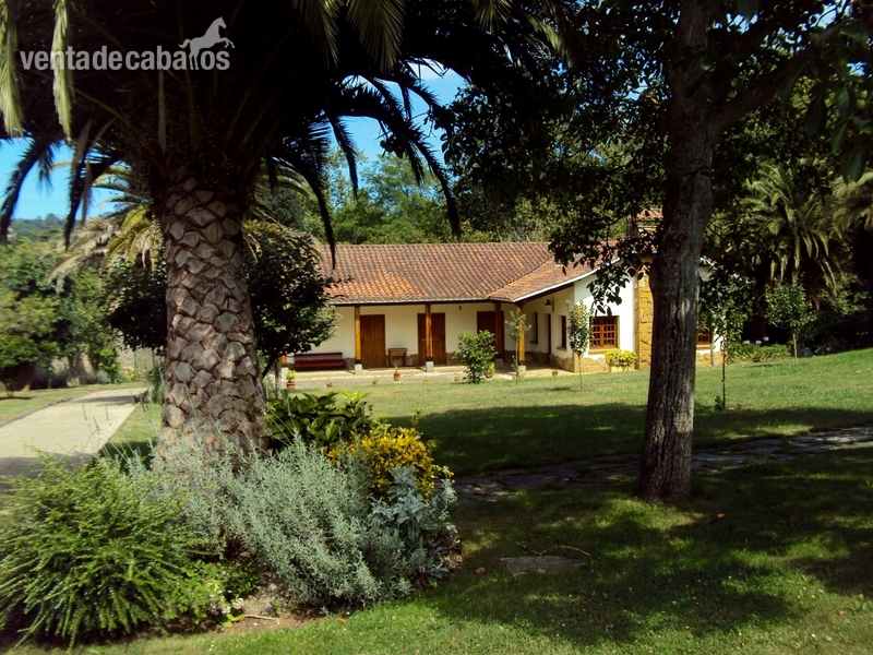 Gijón Finca ecuestre privada, chalet de lujo y piscina.