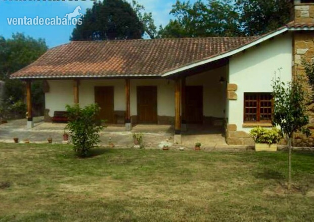 Finca ecuestre privada, chalet de lujo y piscina. - Finca ecuestre in Gijón