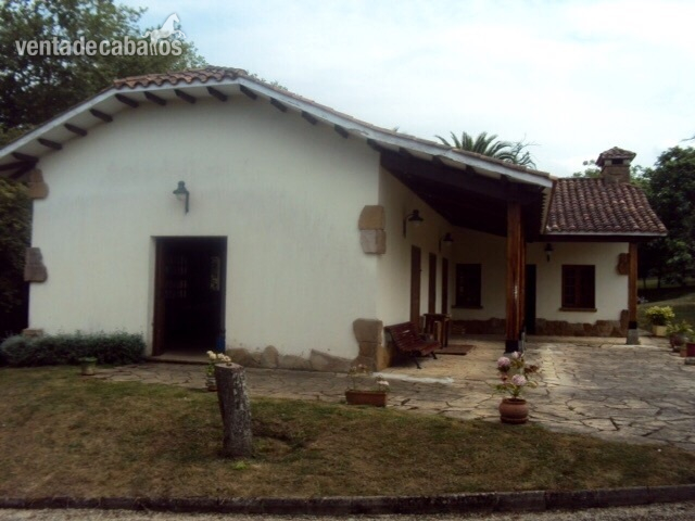 Finca ecuestre privada, chalet de lujo y piscina. - Finca ecuestre