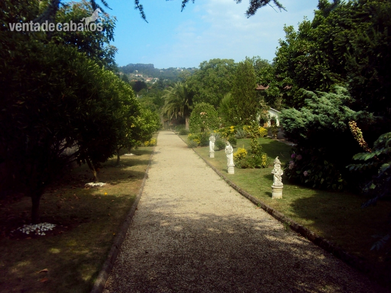 Finca ecuestre privada, chalet de lujo y piscina. Gijón