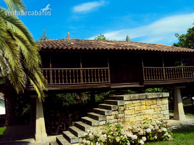 Finca ecuestre - Finca ecuestre privada, chalet de lujo y piscina. in Gijón
