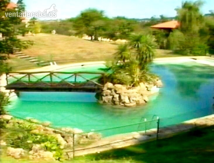 Finca ecuestre - Finca ecuestre privada, chalet de lujo y piscina.