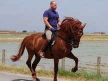 Caballo Pre Alazán con 6 años