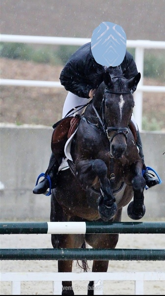 Yegua de salto in 