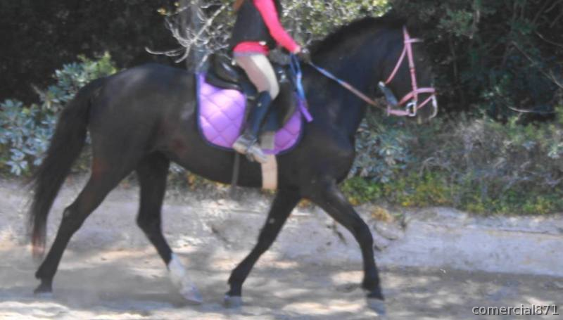 deportesilvia