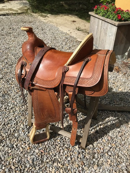 Cuarto de milla - Caballos Capados