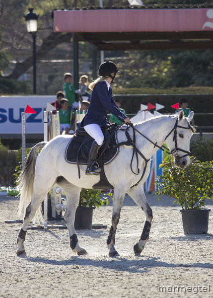 Caballo de deporte español