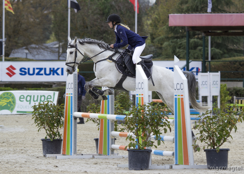 Yeguas Caballo de deporte español - Yegua de salto