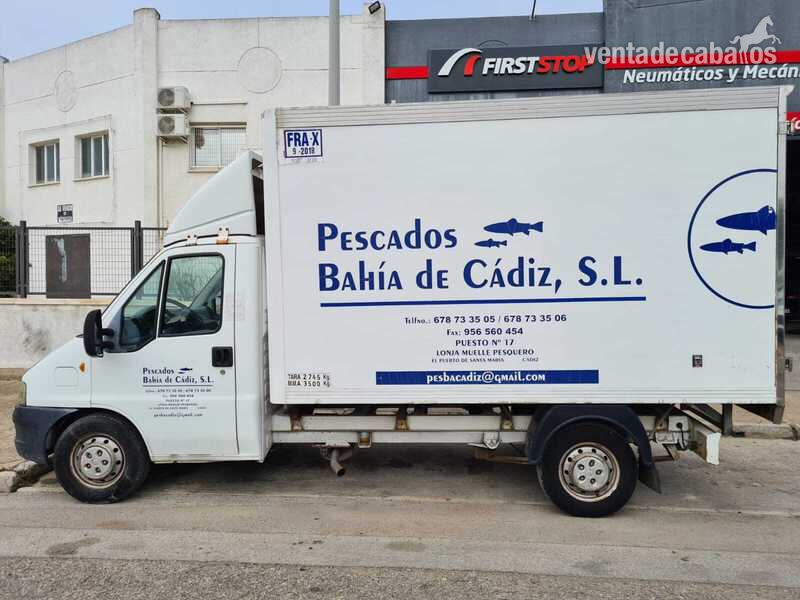 CAMiÓN DE CABALLOS 