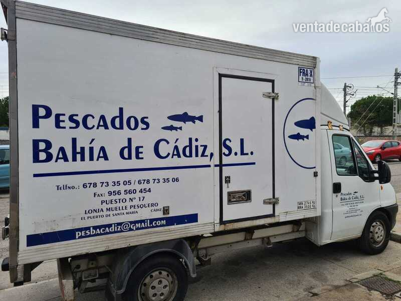  CAMiÓN DE CABALLOS 