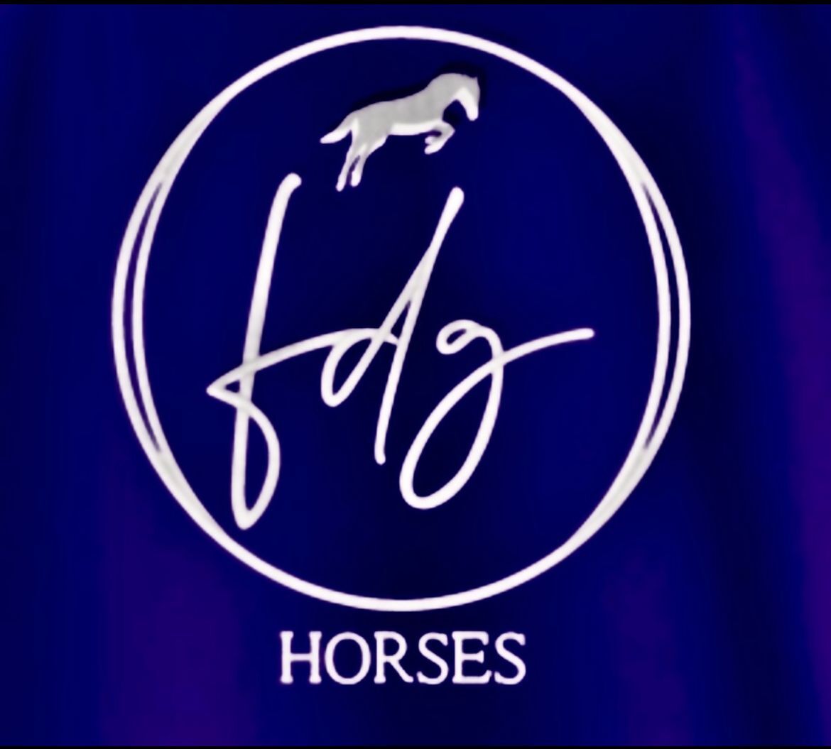 Venta de caballos de salto  - Caballos Capados CDE, HOLS,AA