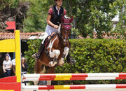 Aslan poni C