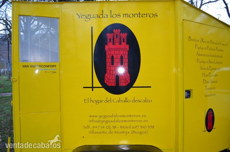 TRANSPORTE DE CABALLOS EN VAN A TODA EUROPA