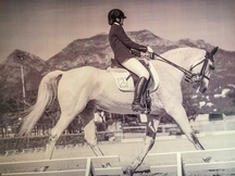 Caballo Doma Clasica nivel IV