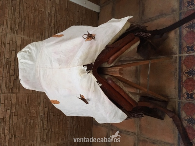 VENDO MONTURA VAQUERA 