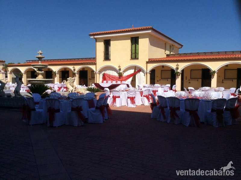  Se VENDE !Finca para eventos con restauración y complejo hípico  más 2 viviendas de alto estanding in Castellar del valles