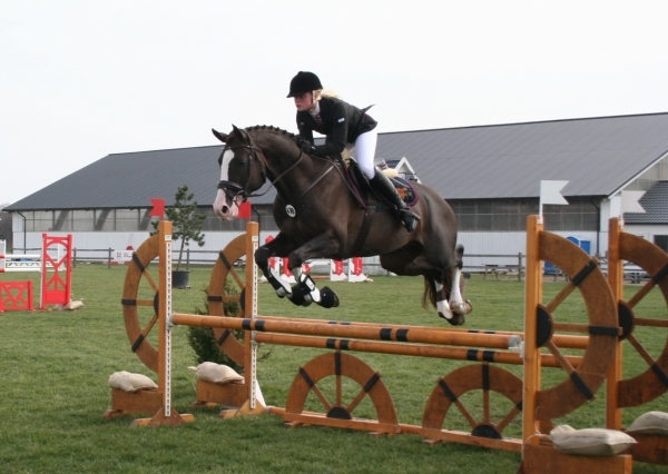 Holstien {TYPE}
