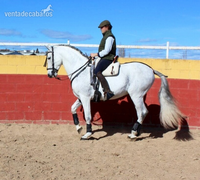 Se vende hispano-árabe excepcional in 