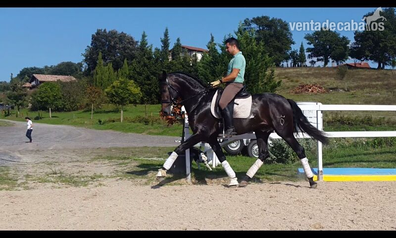 PRE NIETO DE ORFEBRE in 