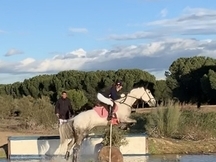 Venta de yegua de competición. Recorridos de salto de 1’10m