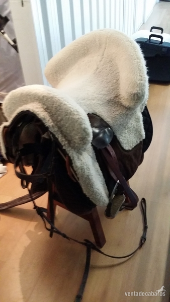 Venta  Silla  Zaldi Española in 