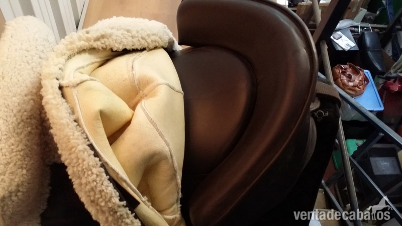  Venta  Silla  Zaldi Española