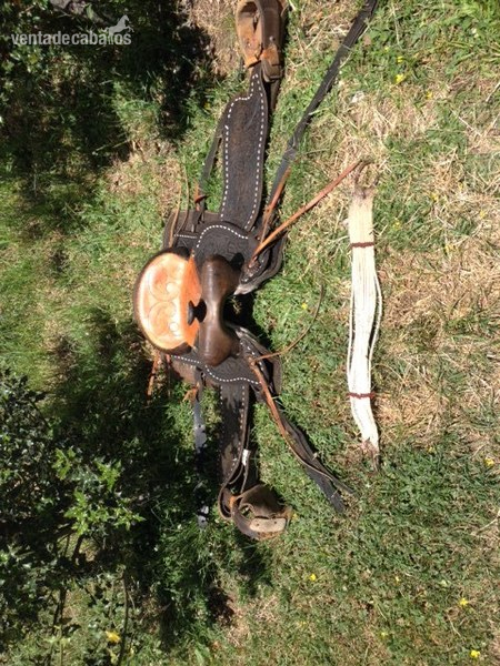 montura in 